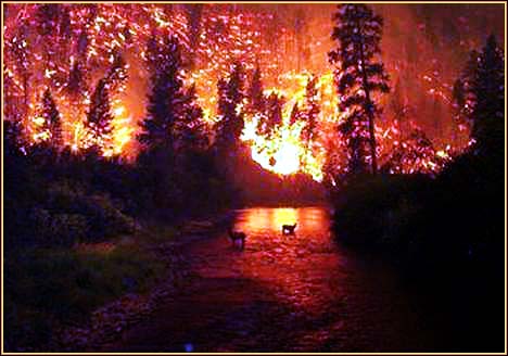 deer fire river