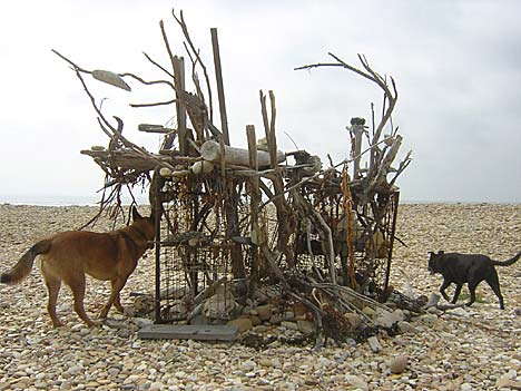 kona kony vive vivor trump beach stick house