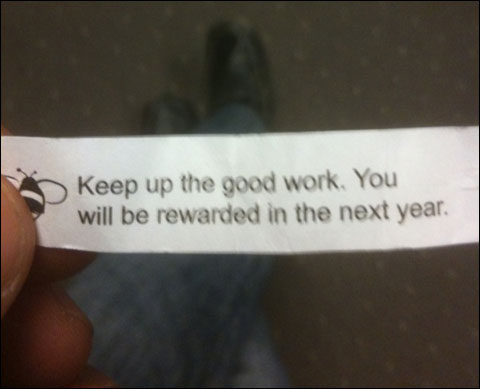 fortune cookie: Keep up the good work. You will be rewarded in the next year.