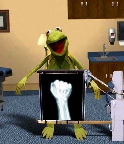 kermit the frog xray puppet hand puppeteer