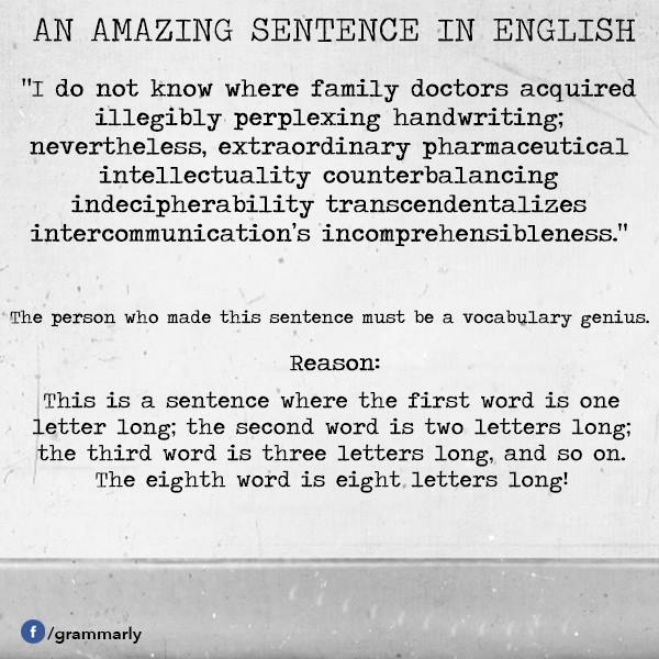 amazing sentence in english