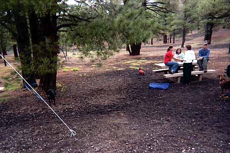 kona camping in arizona with friends