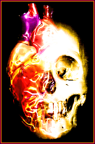 heart skull