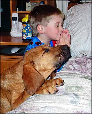 boy and dog saying prayers
