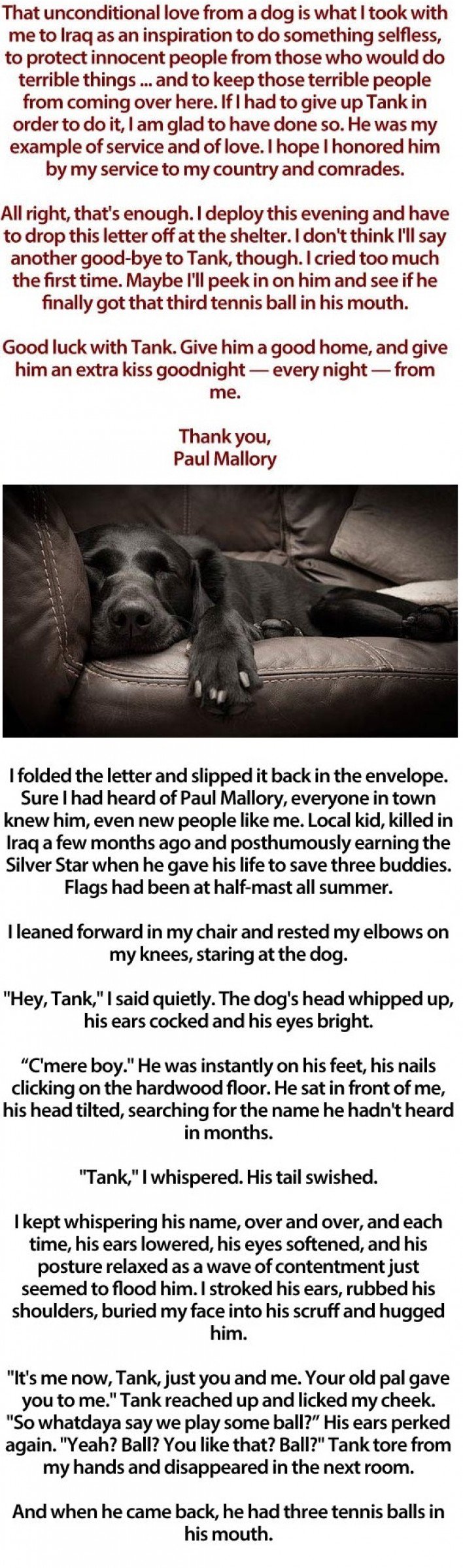tank the dog