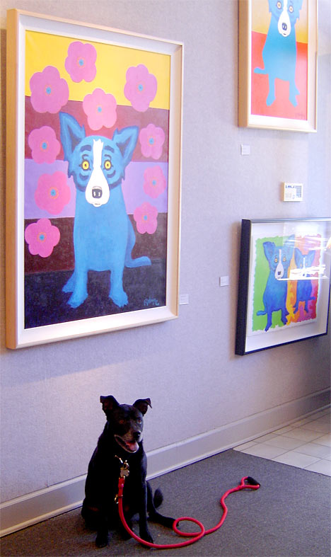 Kony at the Blue Dog Gallery - Rodruigue Studio