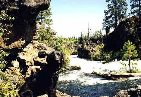 Tiras at an Oregon stream